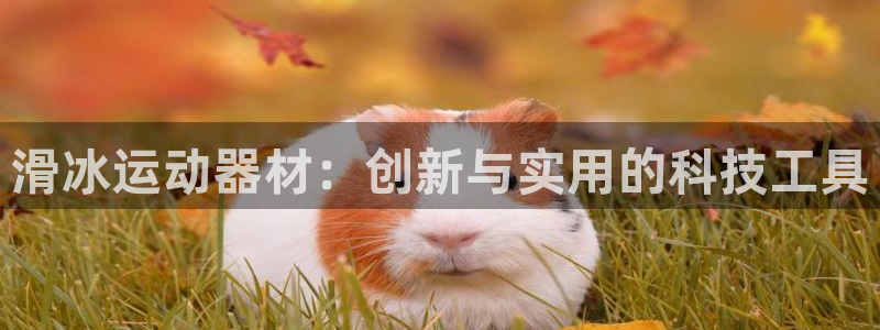 征途国际科技：滑冰运动器材：创新与实用的科技工具