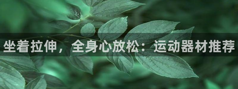 征途国际娱乐首页网站大全：坐着拉伸，全身心放松：运动