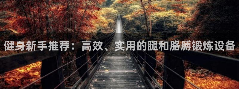 征途国际集团简介：健身新手推荐：高效、实用的腿和胳膊锻炼设备