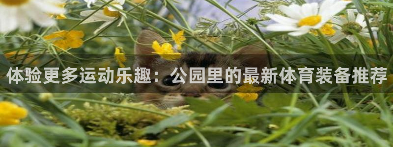 征途国际娱乐下载：体验更多运动乐趣：公园里的最新体育