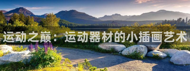 海南征途国际发展怎么样：运动之巅：运动器材的小插画艺术