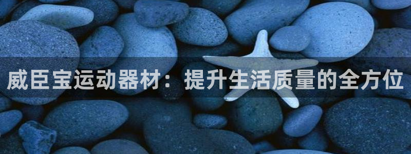 征途国际娱乐首页网站大全：威臣宝运动器材：提升生活质量的全方