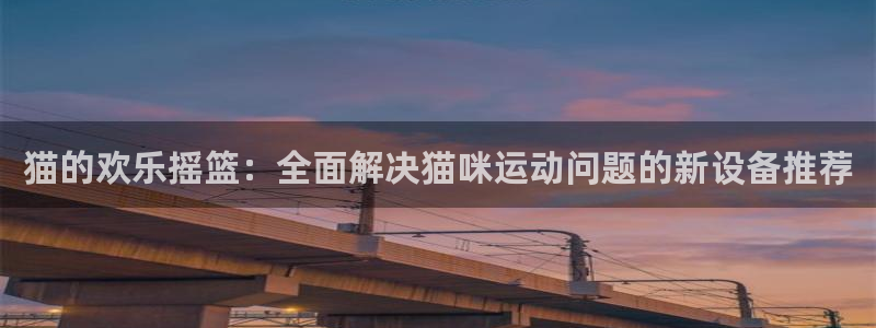 征途国际平台假的吗是真的吗吗：猫的欢乐摇篮：全面解决