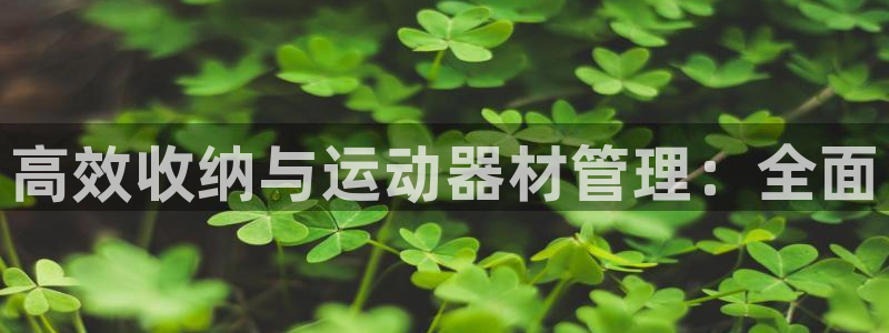 征途国际代理：高效收纳与运动器材管理：全面