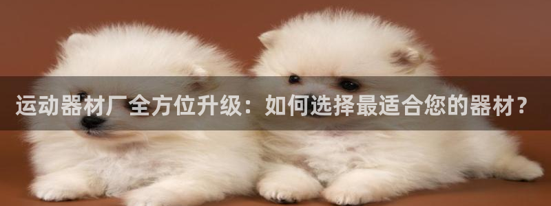 征途国际集团官网：运动器材厂全方位升级：如何选择最适合您的器