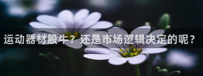 征途国际招商：运动器材股牛？还是市场逻辑决定的呢？