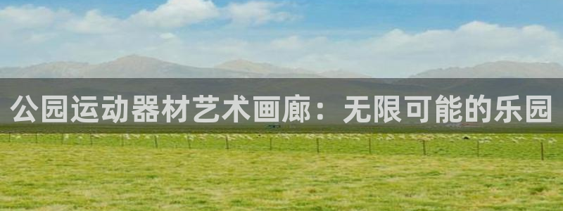 征途国际集团官网首页：公园运动器材艺术画廊：无限可能