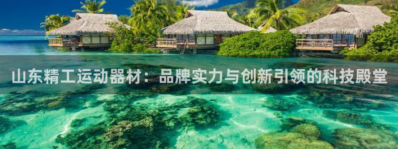 征途国际招商电话是多少：山东精工运动器材：品牌实力与创新引领