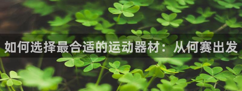 征途国际招商电话地址是多少：如何选择最合适的运动器材：从何赛