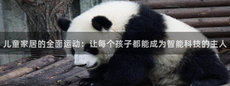 征途国际娱乐首页网站大全：儿童家居的全面运动：让每个