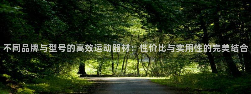 征途国际平台是正规平台吗：不同品牌与型号的高效运动器