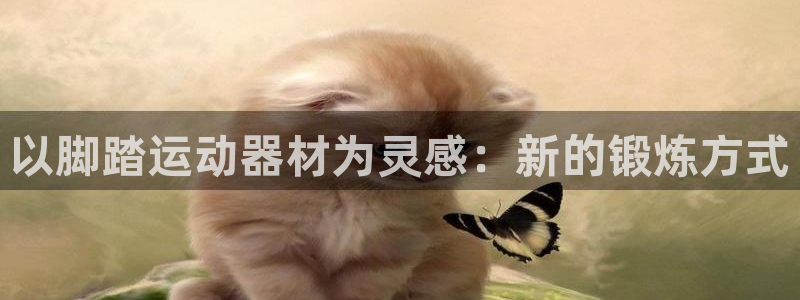 征途国际娱乐首页官网下载：以脚踏运动器材为灵感：新的锻炼方式