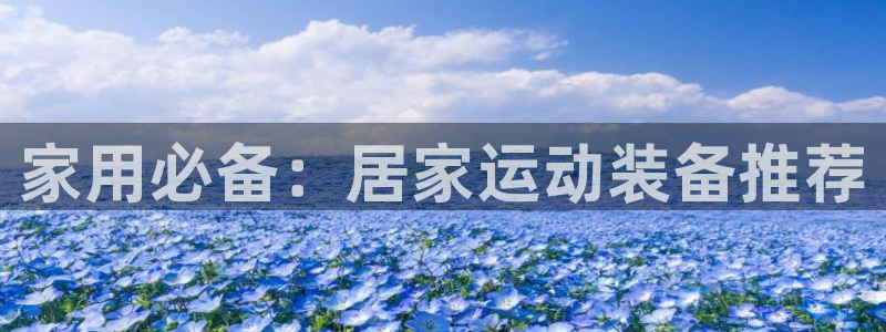 征途国际集团官网首页：家用必备：居家运动装备推荐