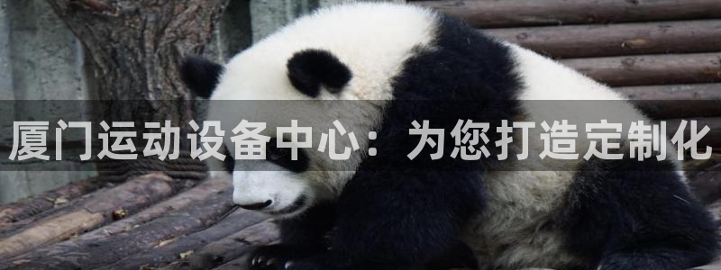 征途国际开户：厦门运动设备中心：为您打造定制化