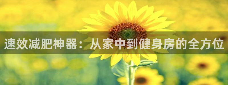 征途国际招商电话是多少：速效减肥神器：从家中到健身房的全方位